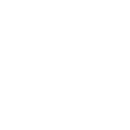 Liverpool Stream Links